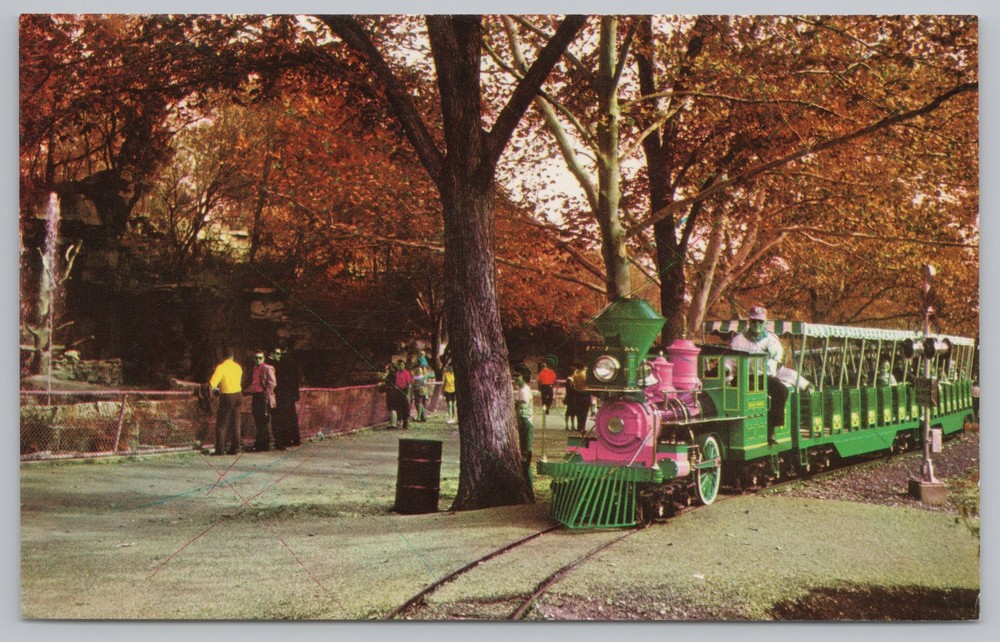 Transportation~Forest Park St Louis~Zoo Line Railroad~Vintage Postcard