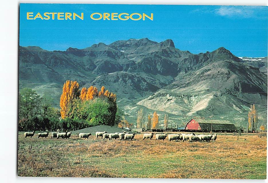 Postcard A ranch scene in the Steens Mountain Eastern Oregon USA
