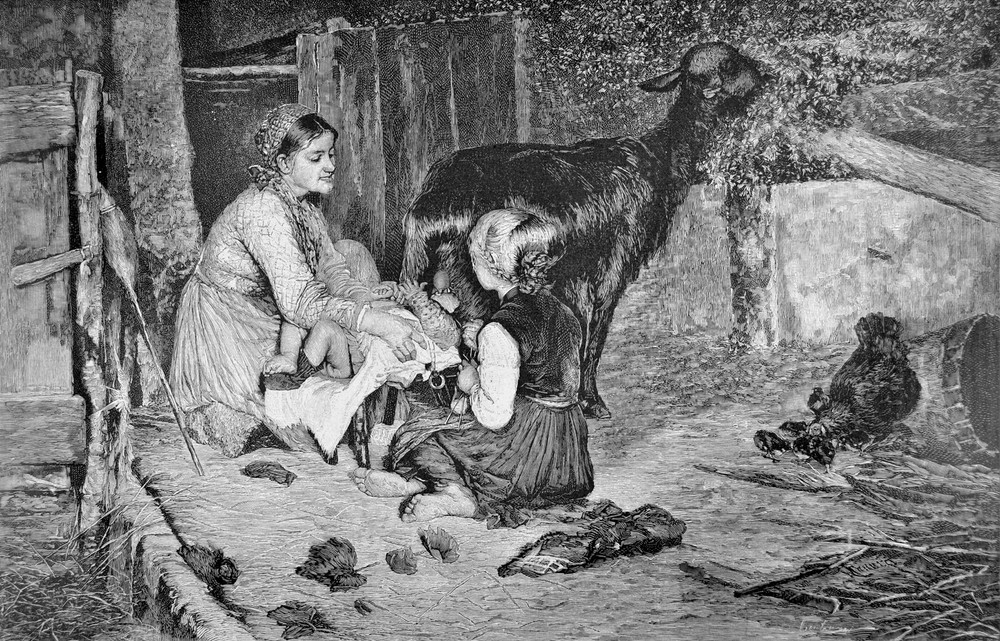 Nature scene. Children Decorative Poster. Home Graphic Art Design 3833