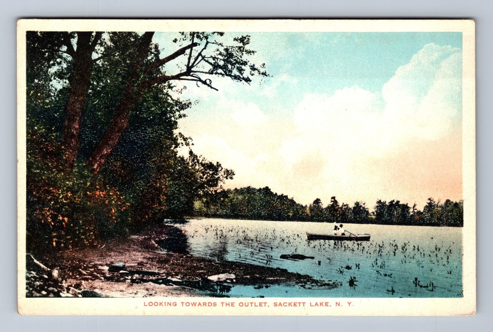 Sackett Lake NY-New York Looking Towards The Outlet Vintage Postcard