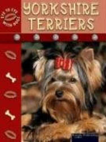 Yorkshire Terriers (Eye to Eye - Library Binding, by Stone Lynn M. - Acceptable