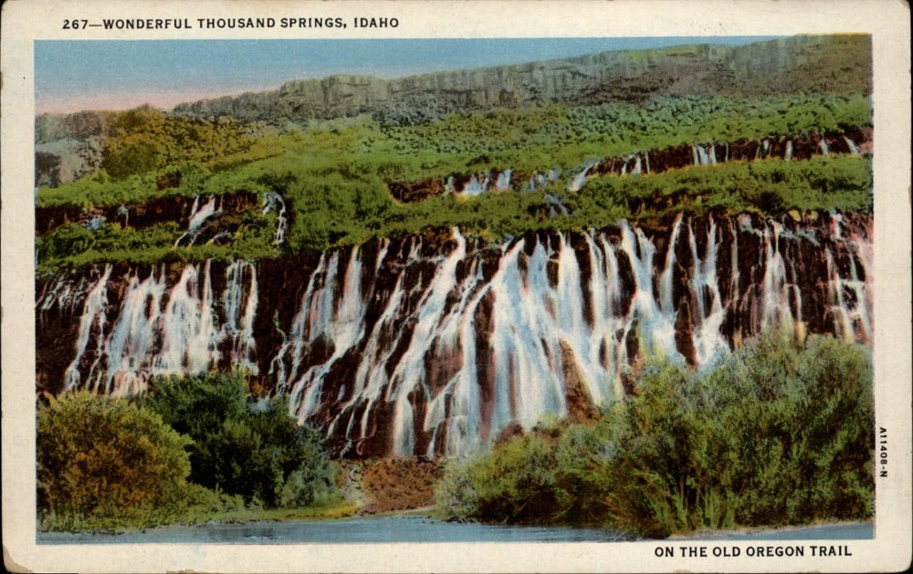 Thousand Springs Idaho Old Oregon Trail ~ 1930s linen postcard