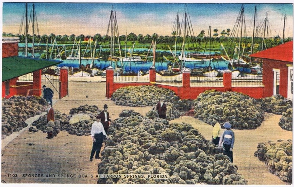 Postcard Sponges & Sponge Boats  At Tarpon Springs Florida