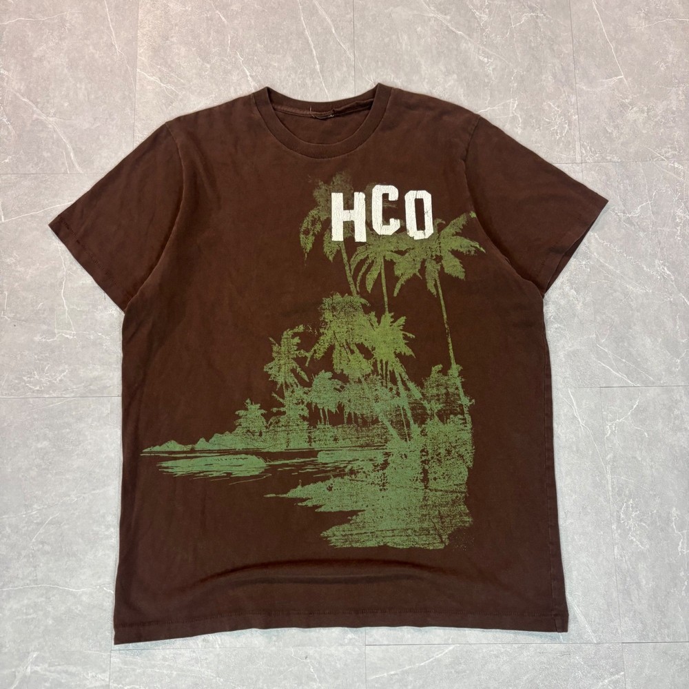 Vintage Hollister men's brown t shirt with tree graphic size medium Y2K