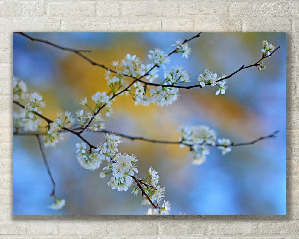 Abstract Floral Nature Art Print on Metal Canvas or Paper  -image