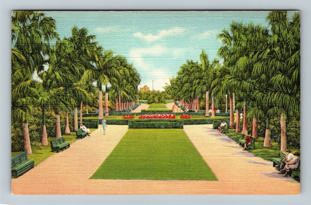 Miami FL-Florida, In Bayfront Park Vintage Souvenir Postcard