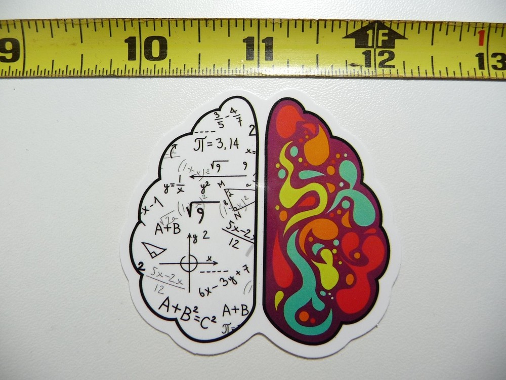 Math Brain Creative Reasoning Decal Sticker for Teachers and Students in School or College  