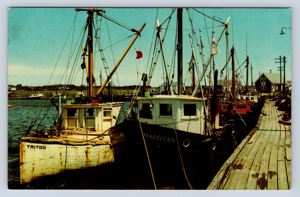 Vintage Postcard Cape Cod Massachusetts Fishing Boats Docks