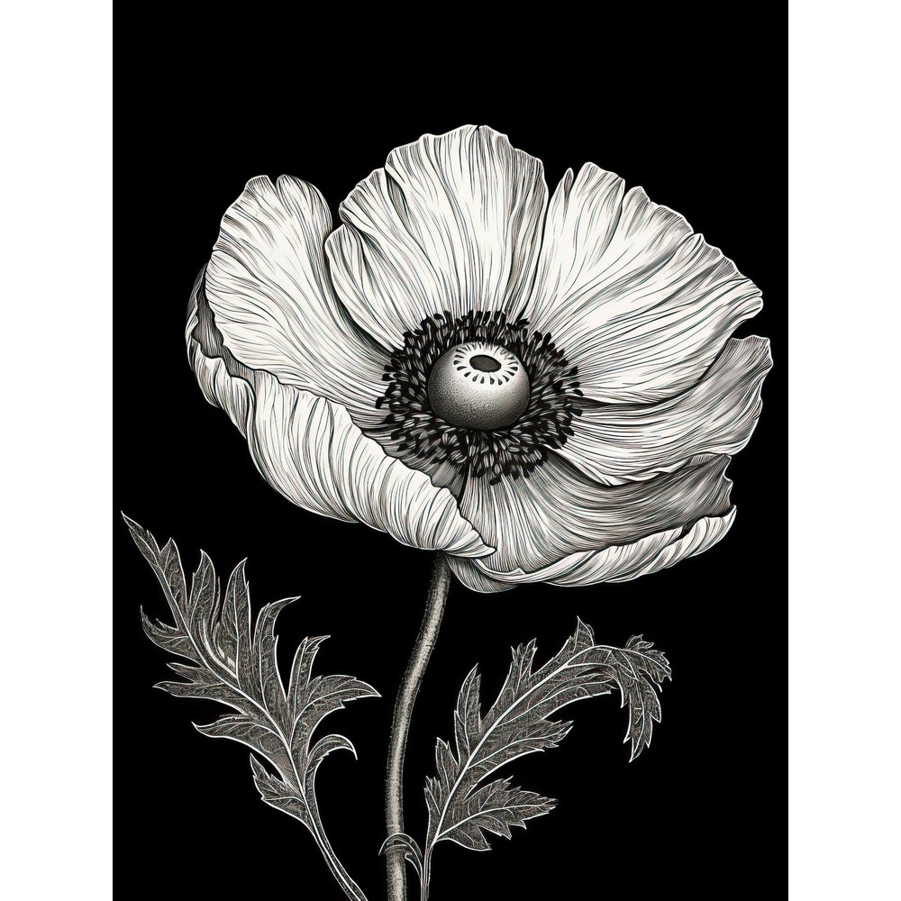 White on Black Single Detailed Anemone Flower Huge Wall Art Poster Print Giant