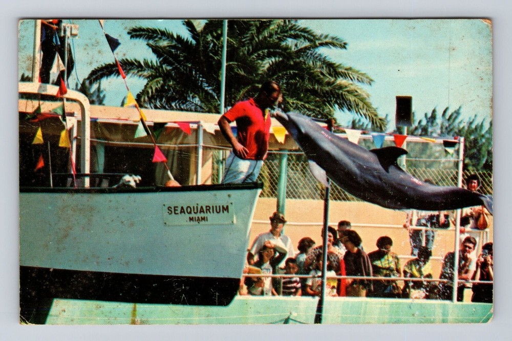 Miami FL-Florida, Fabulous Seaquarium, Antique, Vintage c1968 Souvenir Postcard