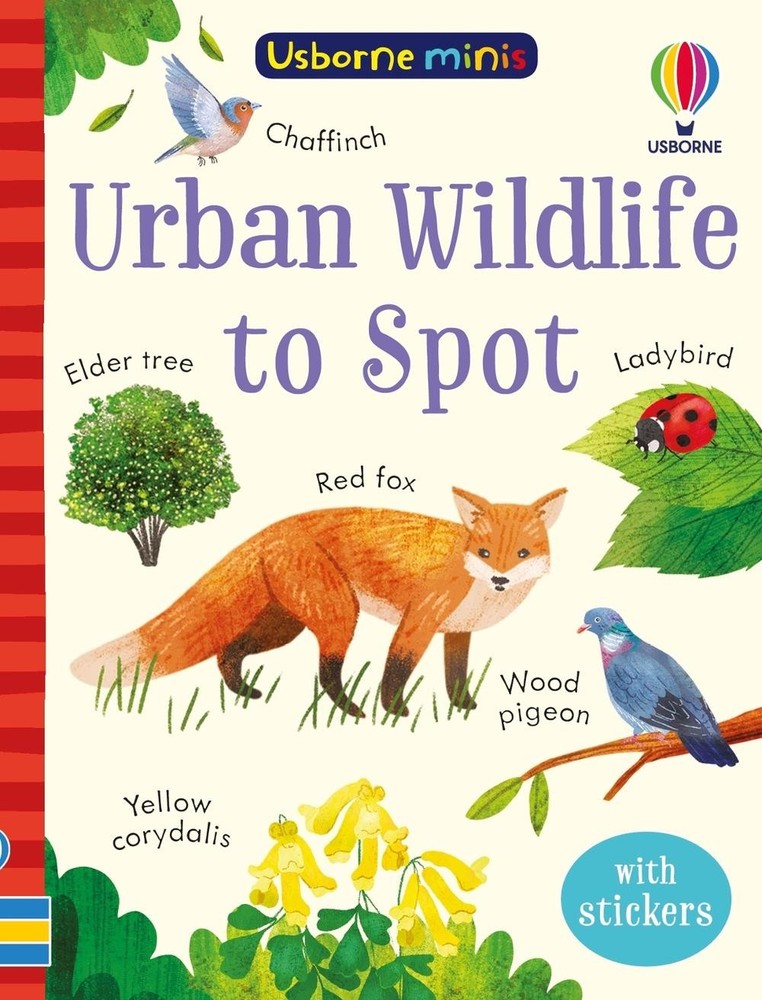 Urban Wildlife to Spot by Kate Nolan Paperback Book