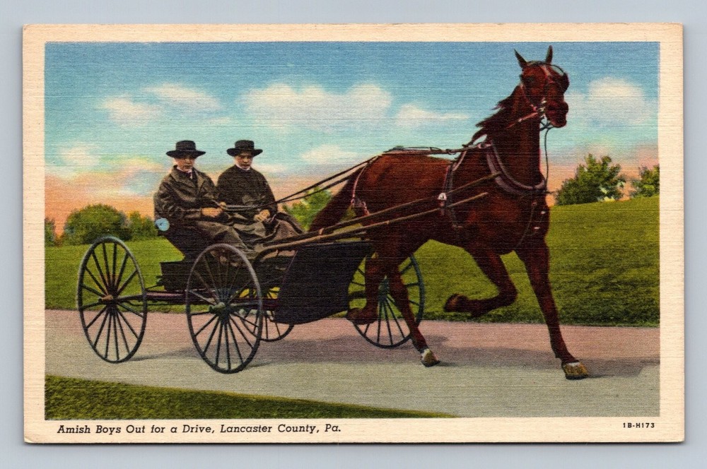 Vintage Amish Boys Buggy Drive Postcard Lancaster County PA Linen