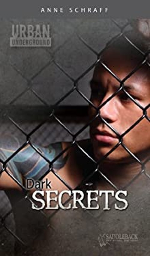 Dark Secrets Paperback Anne SchraffFree US Delivery | ISBN:1616512679