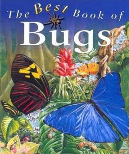 My Best Book of Bugs by Claire Llewellyn: Used