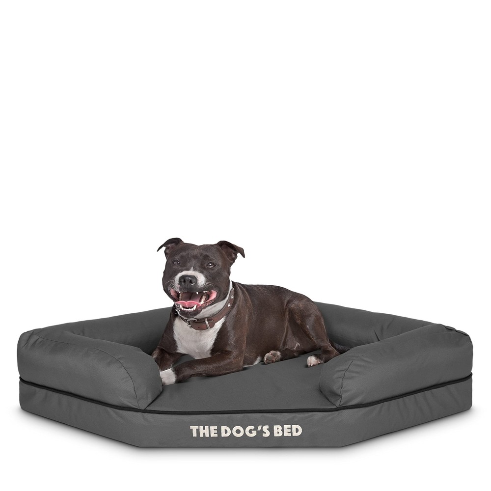 The Dog’s Bed Orthopedic Memory Foam Waterproof Corner Dog Bed, Medium, Gr