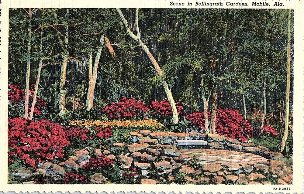 Postcard GARDEN SCENE Mobile Alabama AL m/09 AI0660