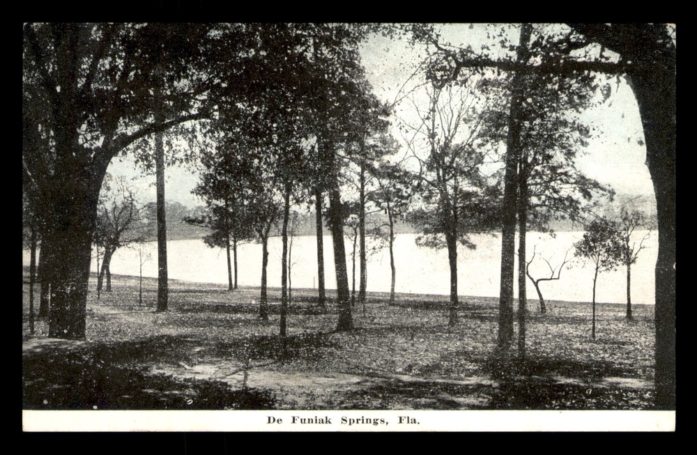 De Funiak Springs Florida FL Trees Water Unp Postcard