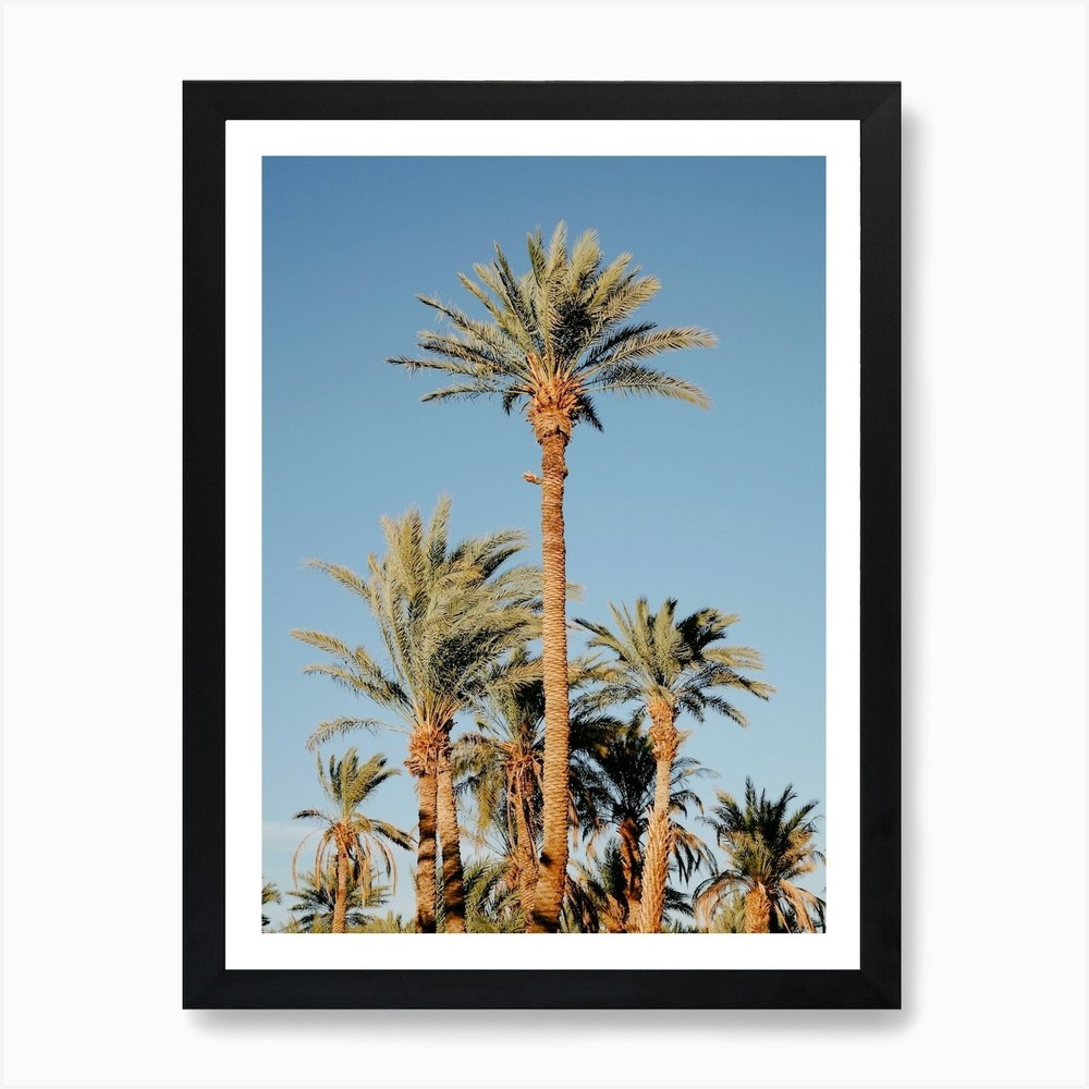 Palm Trees Framed Canvas Art Print Tropical Wall Decor