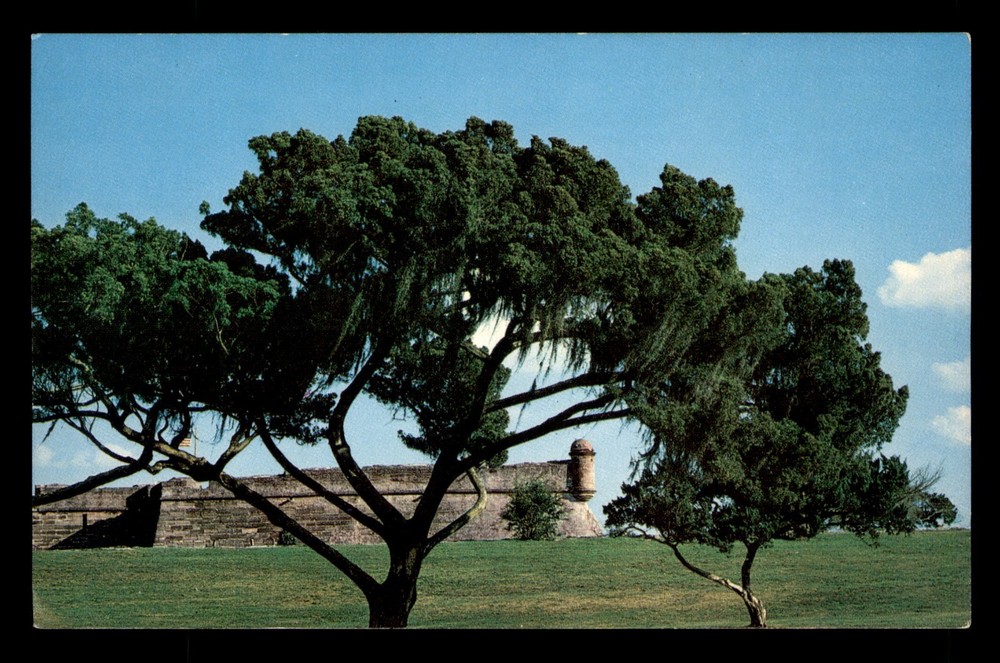 Castillo De San Marcos National Monument St Augustine Florida FL Unp Postcard