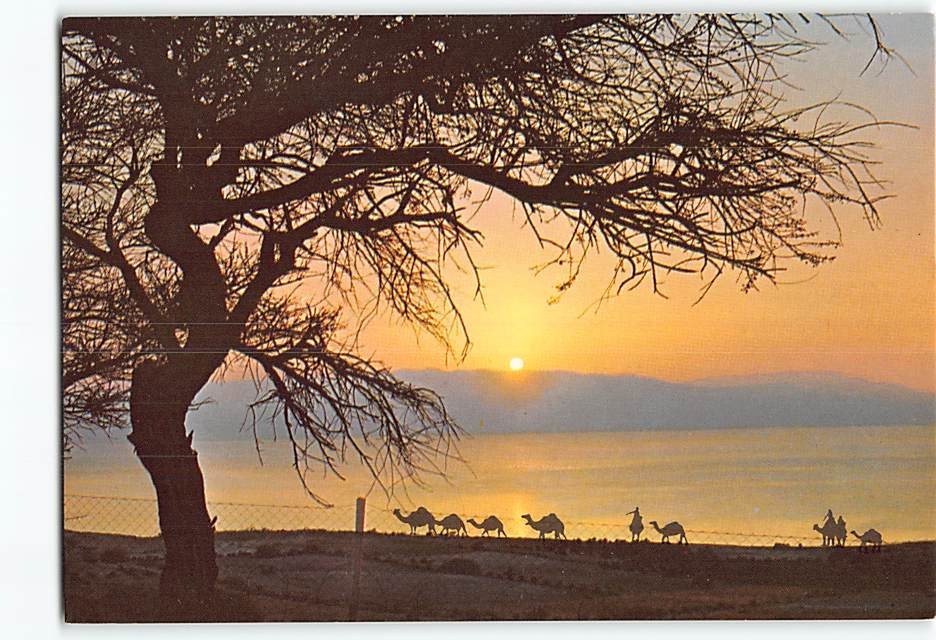Postcard Sunrise On The Dead Sea Ein Gedi Israel