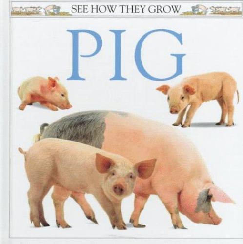 Pig; See How They Grow - Mary Ling, 9781564582041, hardcover