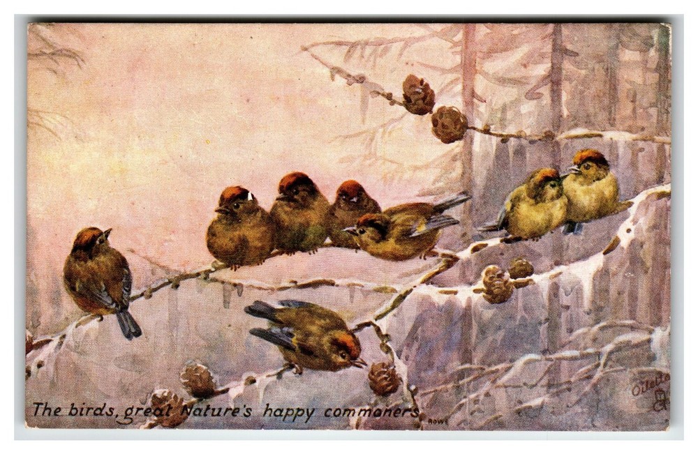 Raphael Tuck Oilette Postcard Birds Snowy Branches Rowe Art Kenton OH 1908