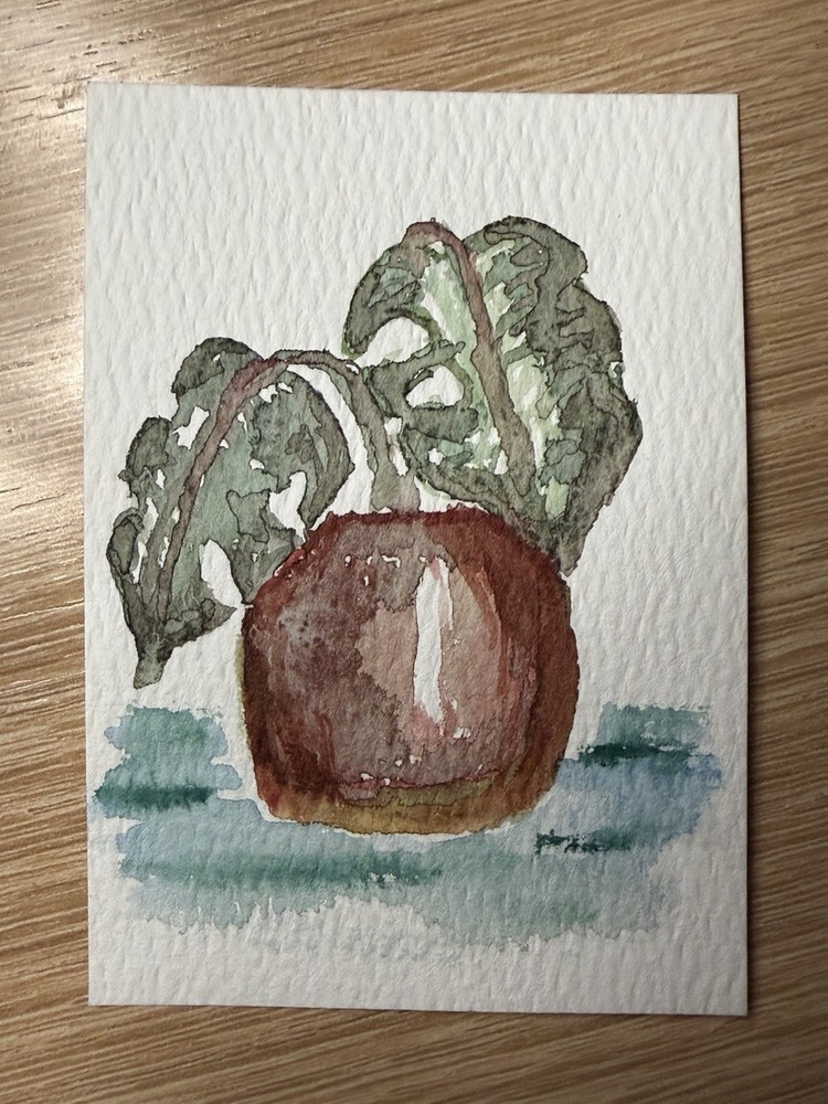 ACEO Original Watercolor Painting Plant