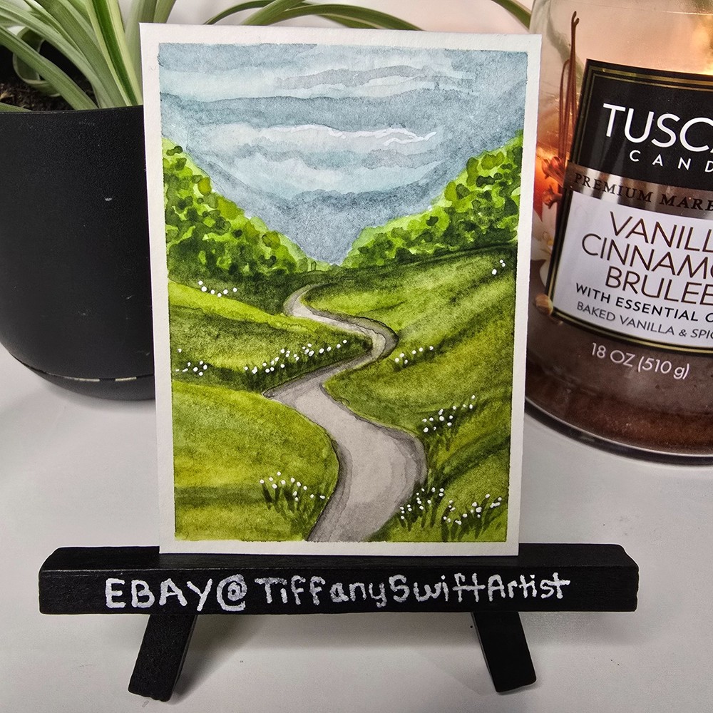 ACEO Original 2.5 x 3.5 inch watercolor landscape clouds grass wildflowers