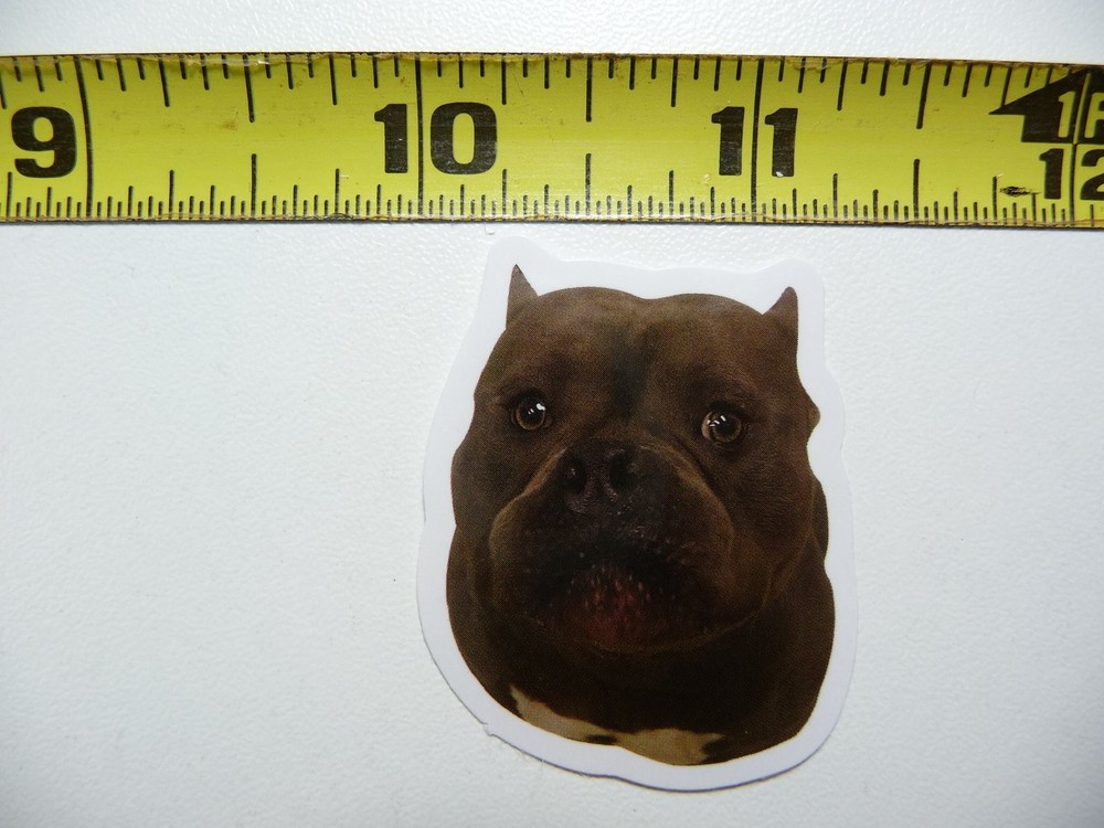 Cute Funny Dog Sticker Decal AX146 Small Pet Love Hi Fun