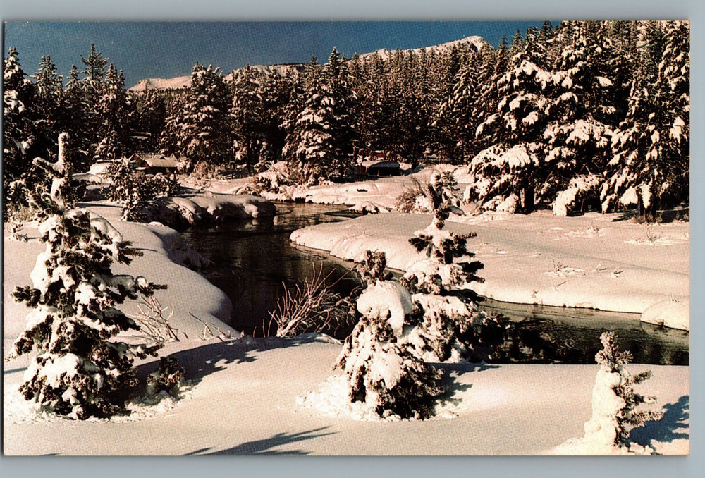 Snowy River Scene Carlstadt Bergen NJ Mail Carrier Holiday Greetings Postcard