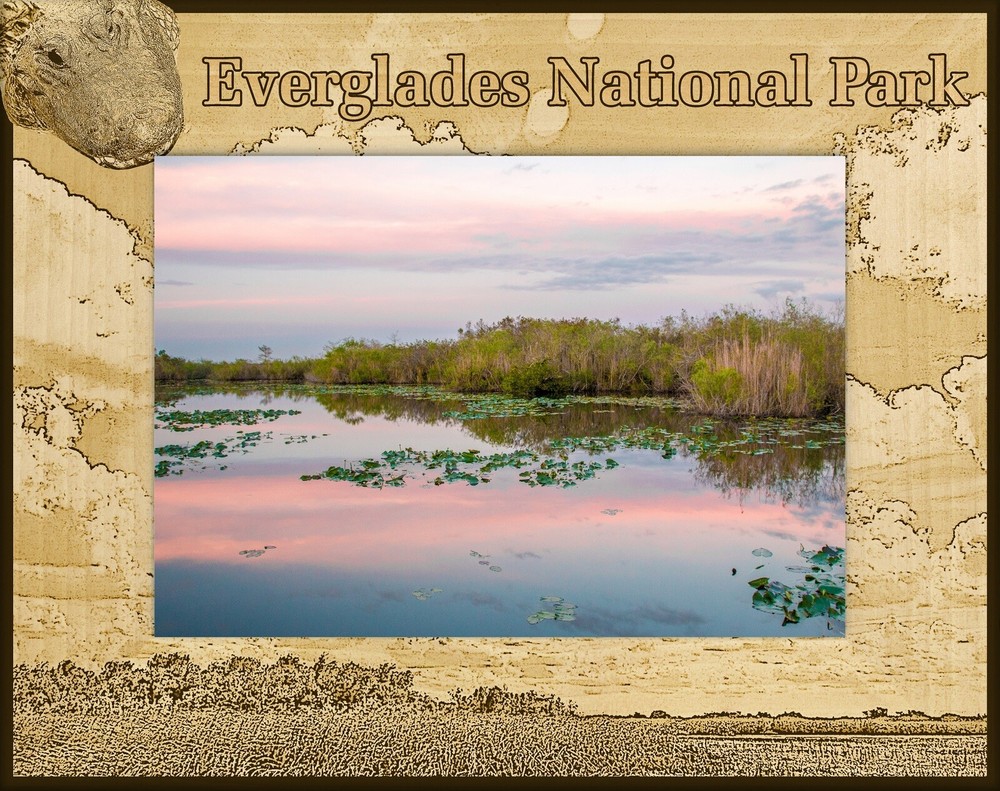 Everglades National Park Laser Engraved Wood Picture Frame Landscape (4 x 6)