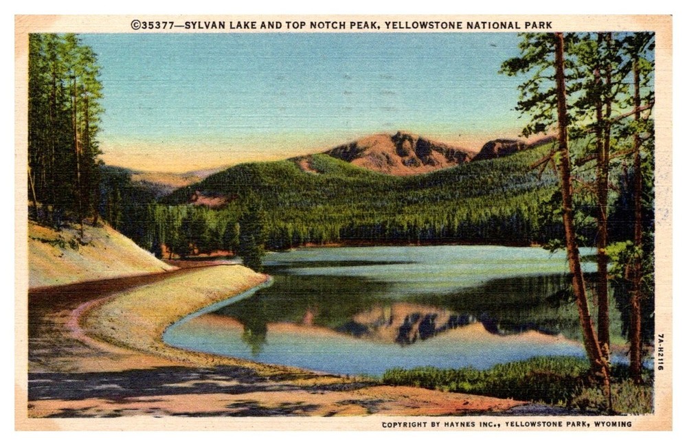 1954 Sylvan Lake & Top Notch Peak Yellowstone Park Wyoming Vintage Postcard