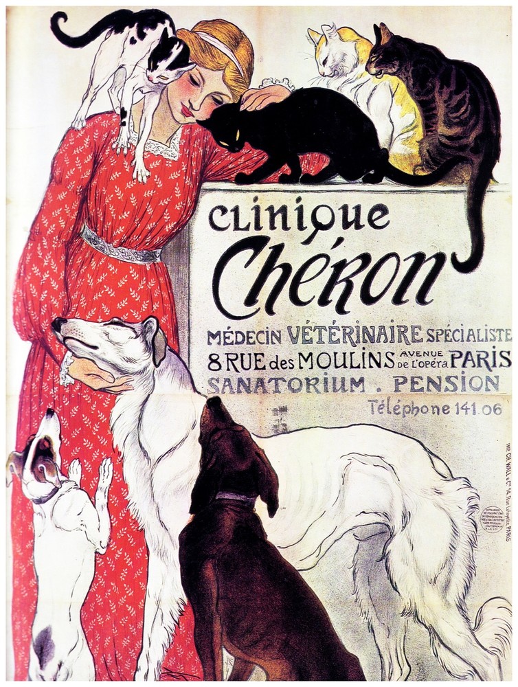 7656.Decoration Poster.Home Room wall design art print.Woman with cat dogs pets