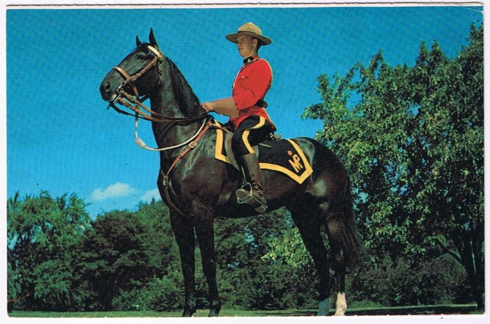 Canada Postcard RCMP Royal Canadian Mounted Police On Horse Trees