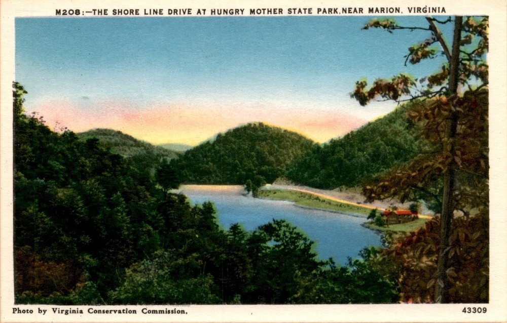 SHORE LINE DRIVE, HUNGRY MOTHER STATE PARK, MARION, VIRGINIA Postcard