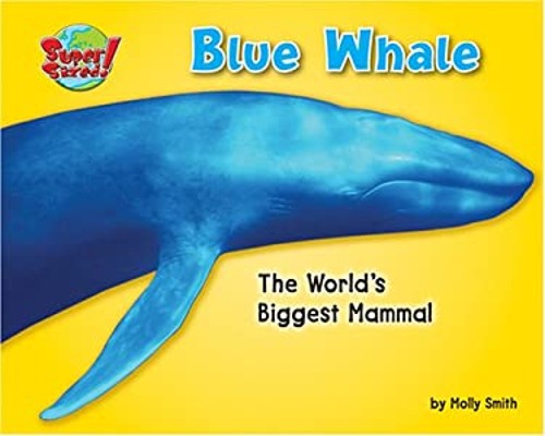 Blue Whale : The World's Biggest Mammal Library Binding Molly SmiFree US Delivery | ISBN:1597163856