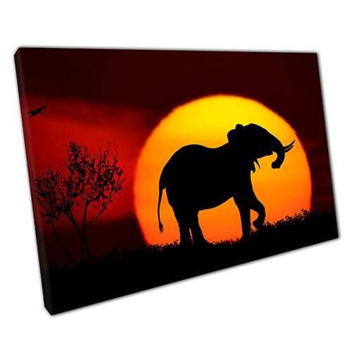 Print on Canvas Elephant sunset Ready to Hang Wall Art Print home décor