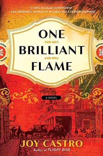 One Brilliant Flame: A Novel - Paperback, by Castro Joy - Very Good q