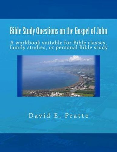 Bible Study Questions on the Gospel of John: A workbook suitable for Bible: New