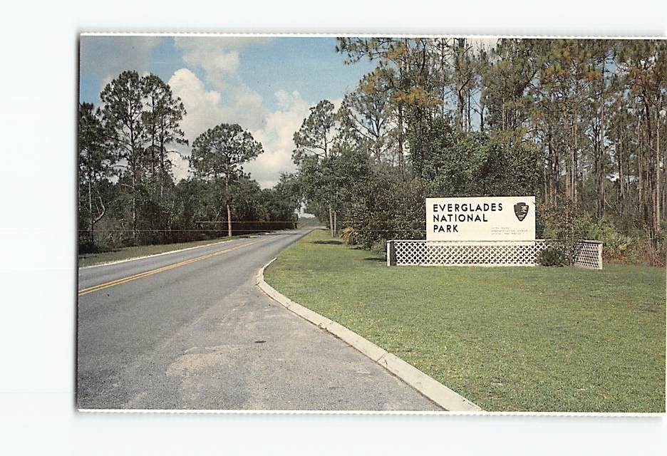 Postcard Everglades National Park Florida USA