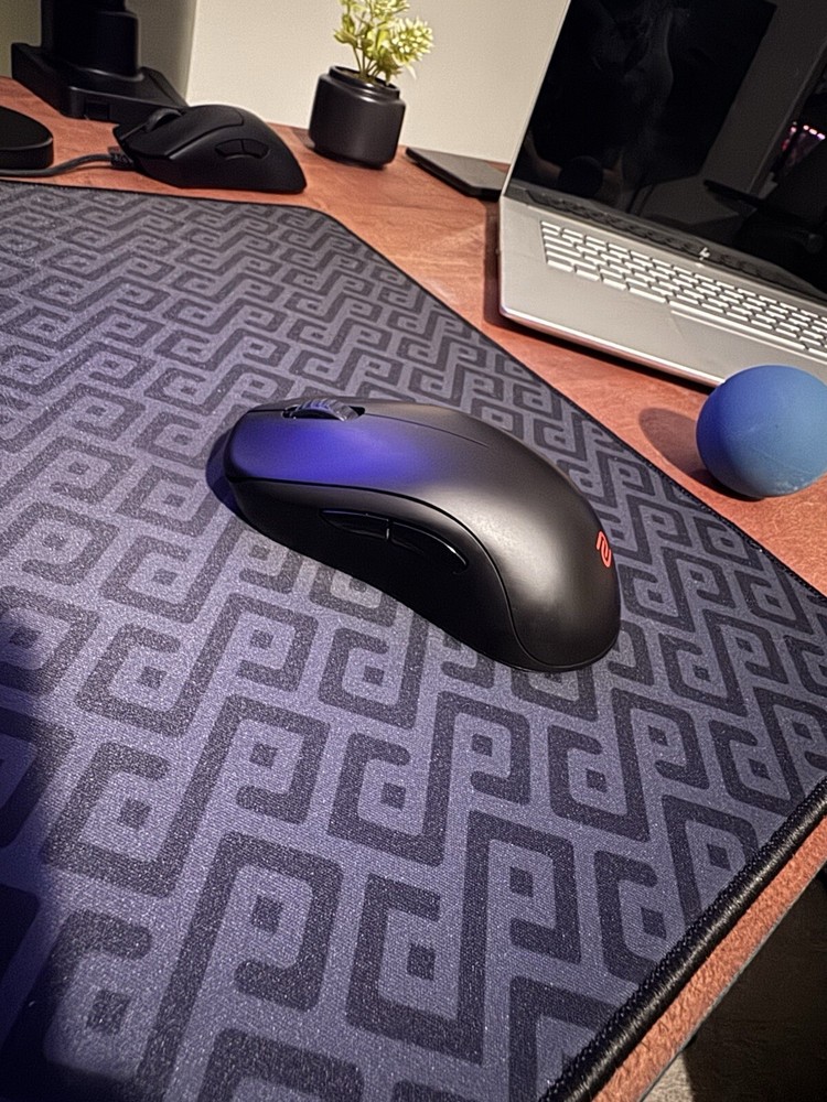 BenQ Zowie U2 Wireless Gaming Mouse