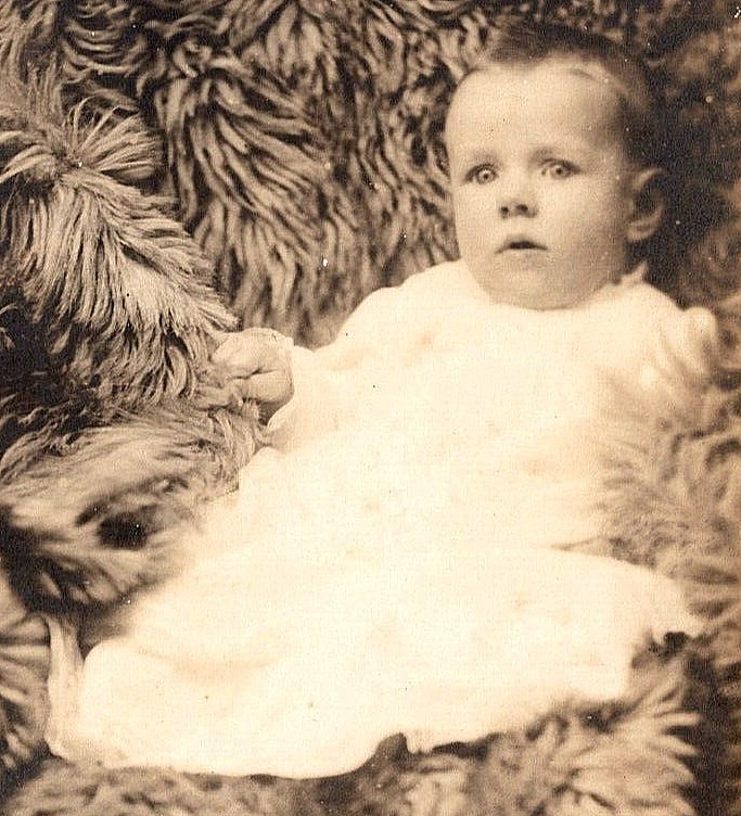 Antique Vintage Real Photo Postcard Portrait Infant Baby White Dress Fur Rug