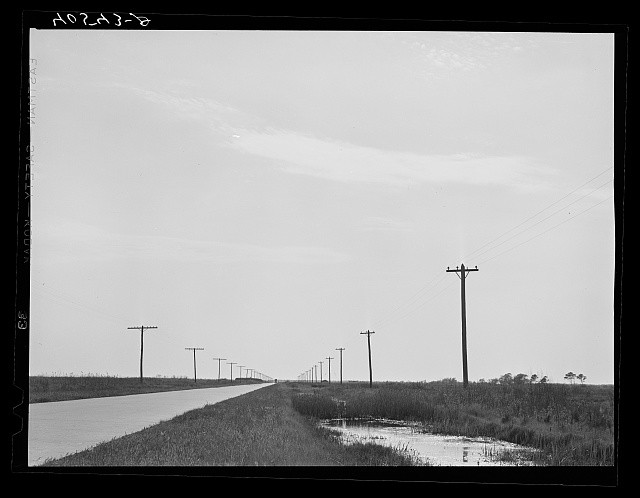 Deal Island Maryland 1940 Deal Island Road Utility Poles Marsh Highway