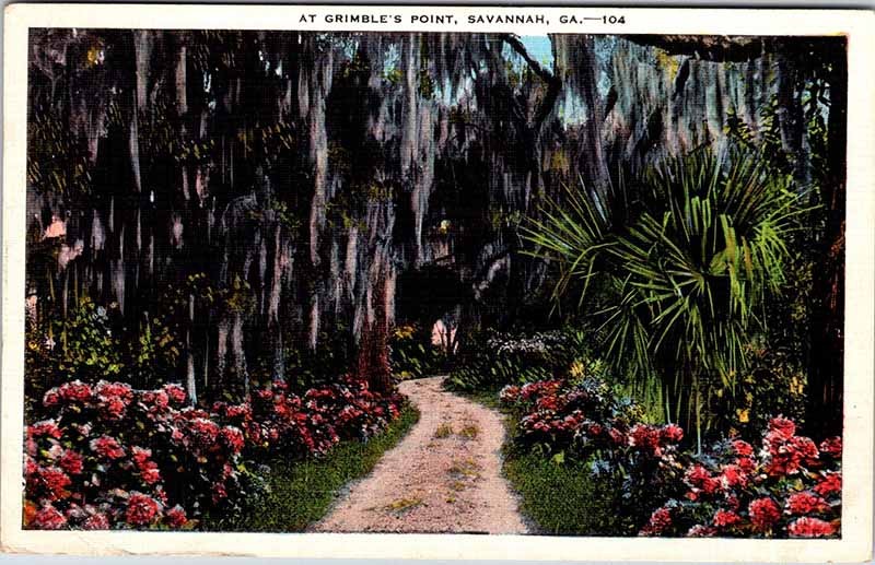 Postcard ROAD SCENE Savannah Georgia GA m/09 AN0285
