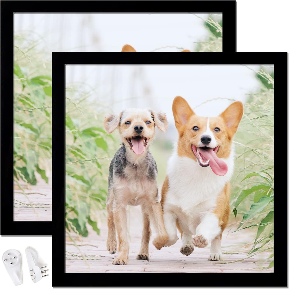 12x12 Black Square Picture Frame Set of 2 with Wall Glass Display