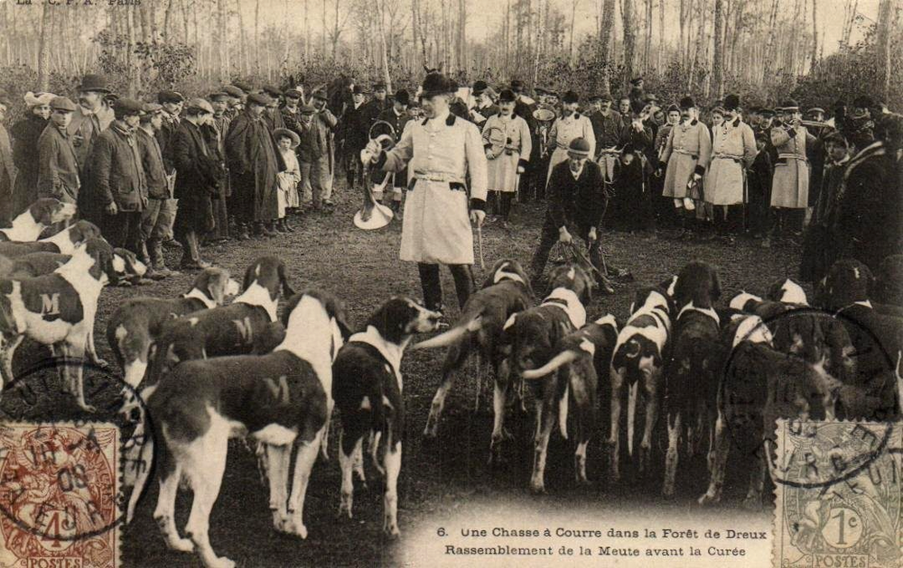 Hunting - A Hunt in the Forest of Dreux.   - Vintage Postcard