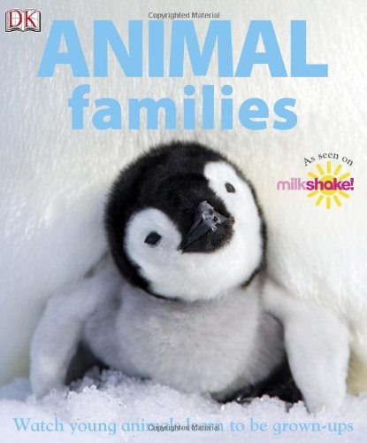 Animal Families By Lorrie Mack