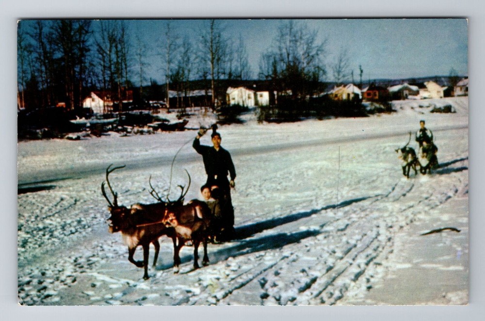 Fairbanks AK-Alaska, Reindeer Team And Sled, Antique, Vintage Souvenir Postcard