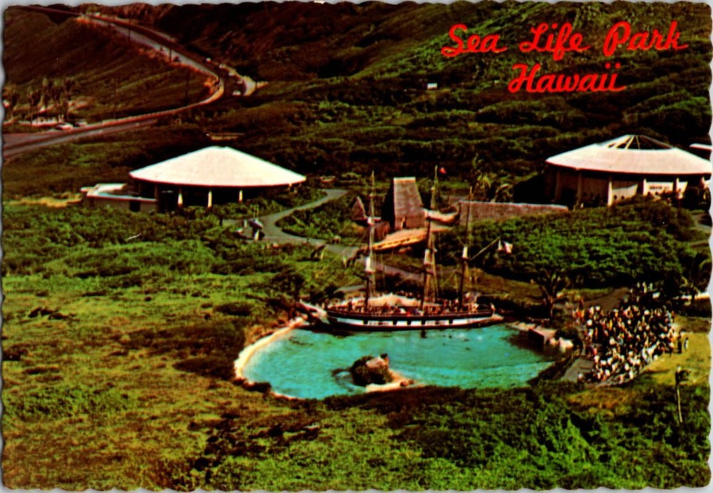 Honolulu Hawaii HI : SEA LIFE PARK m/14 BR0358
