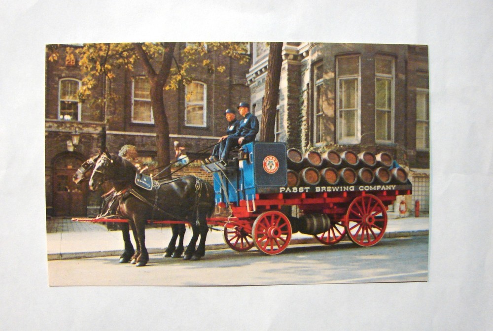 Vintage Chrome Postcard 